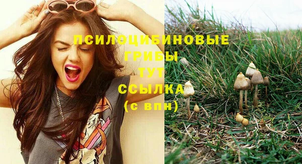 ешки Алексин