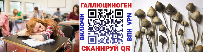 Галлюциногенные грибы прущие грибы Сафоново