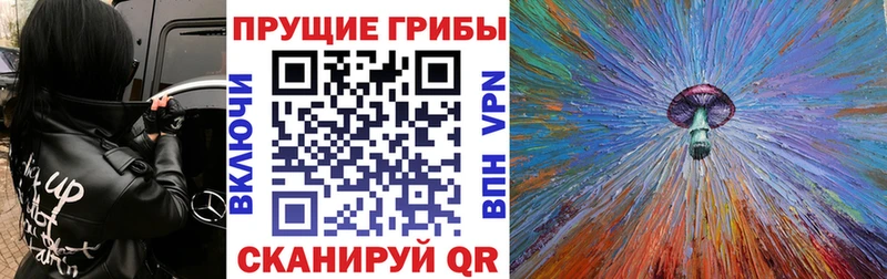 Псилоцибиновые грибы GOLDEN TEACHER  Сафоново 
